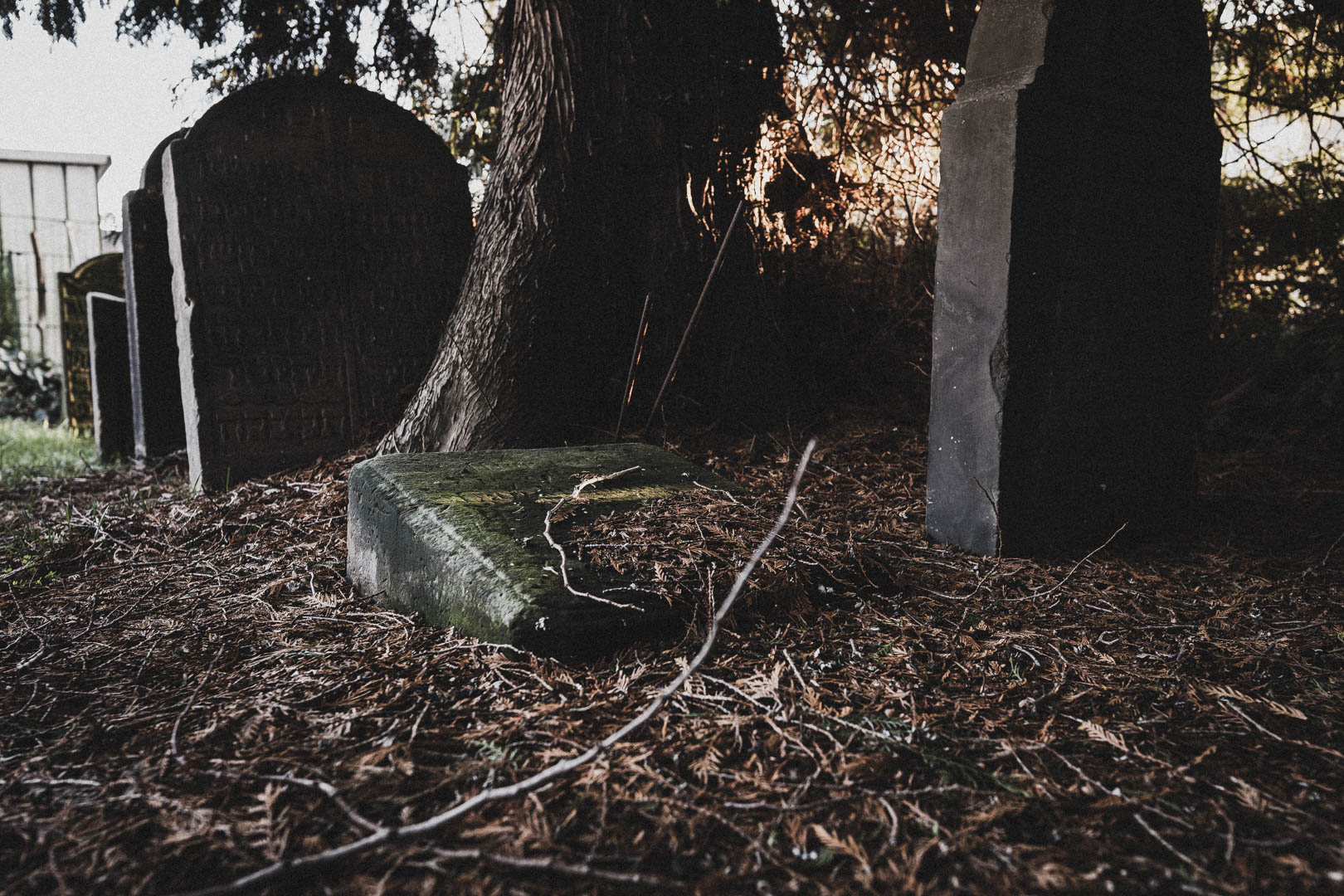 Detmold, Jüdischer Friedhof